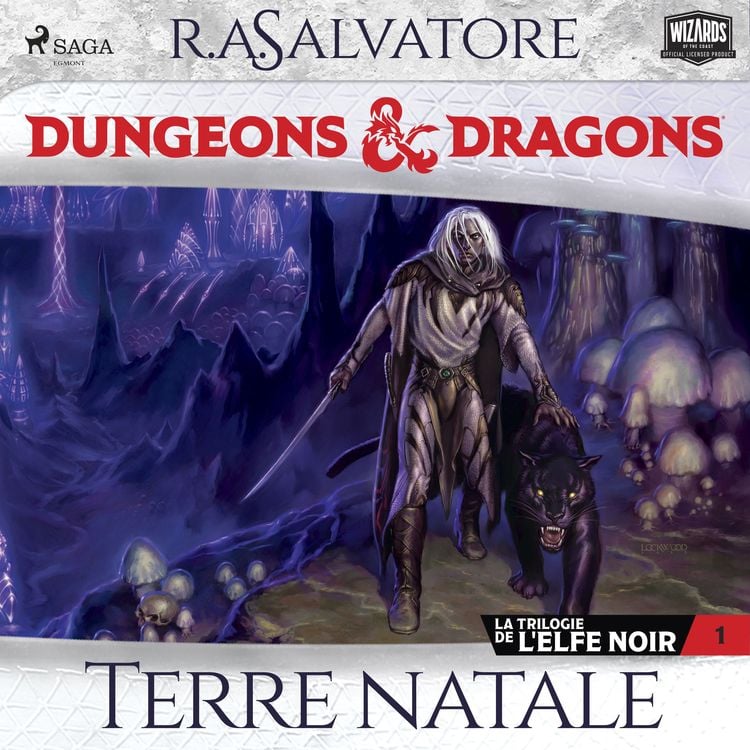 Produktbild: La Trilogie de l'Elfe noir &ndash; tome 1 &ndash; Terre natale