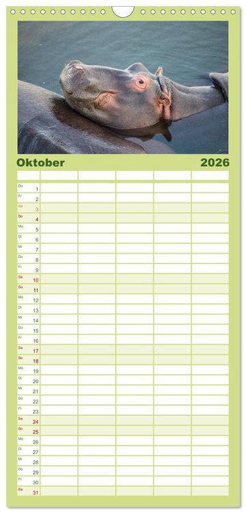 Produktbild: Familienplaner 2026 - Nilpferde, Kolosse im Wasser mit 5 Spalten (Wandkalender, 21 x 45 cm) CALVENDO