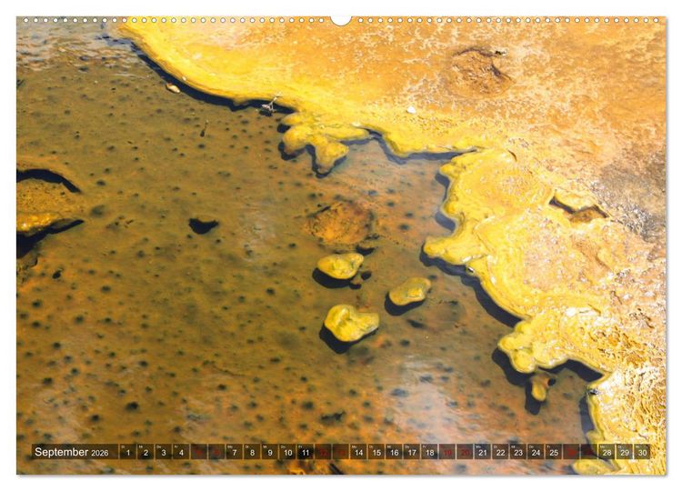 Produktbild: Farben des Yellowstone National Park 2026 (Wandkalender 2026 DIN A2 quer), CALVENDO Monatskalender