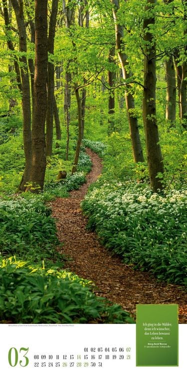 Produktbild: Mythos Wald Literatur-Kalender 2027