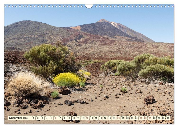 Produktbild: Teneriffa Entspannung Pur (Wandkalender 2026 DIN A3 quer), CALVENDO Monatskalender