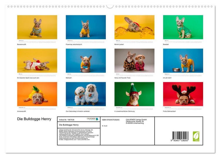 Produktbild: Die Bulldogge Henry (hochwertiger Premium Wandkalender 2026 DIN A2 quer), Kunstdruck in Hochglanz