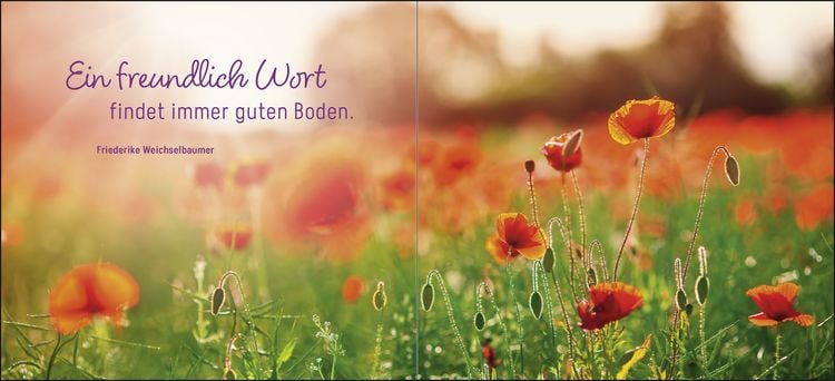 Produktbild: Ein kleines Dankesch&ouml;n