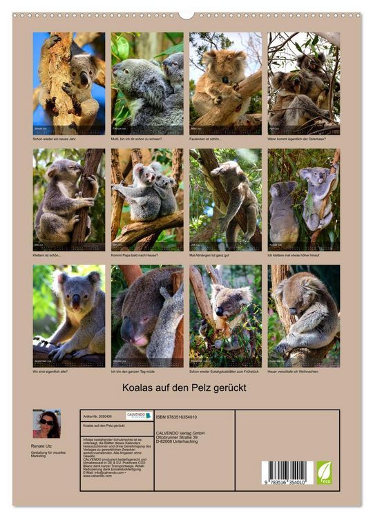 Produktbild: Koalas auf den Pelz ger&uuml;ckt (hochwertiger Premium Wandkalender 2026 DIN A2 hoch), Kunstdruck in Hochglanz
