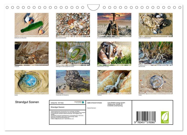 Produktbild: Strandgut Szenen (Wandkalender 2026 DIN A4 quer), CALVENDO Monatskalender