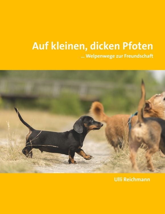 Produktbild: Auf kleinen, dicken Pfoten