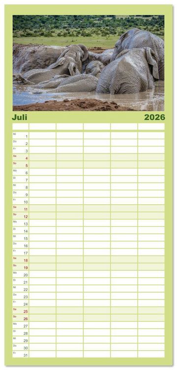 Produktbild: Familienplaner 2026 - Elefanten Begegnungen im &ouml;stlichen und s&uuml;dlichen Afrika mit 5 Spalten (Wandkalender, 21 x 45 cm) CALVENDO