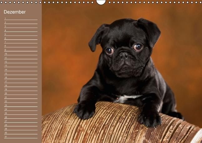 Produktbild: Ein Mops f&uuml;rs Herz (Wandkalender immerw&auml;hrend DIN A3 quer)