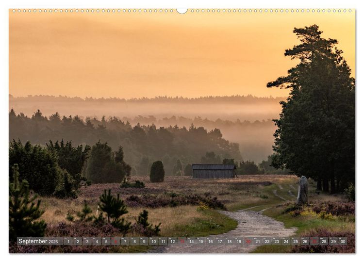 Produktbild: Die L&uuml;neburger Heide - In voller Bl&uuml;te (hochwertiger Premium Wandkalender 2026 DIN A2 quer), Kunstdruck in Hochglanz