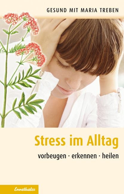Produktbild: Stress im Alltag