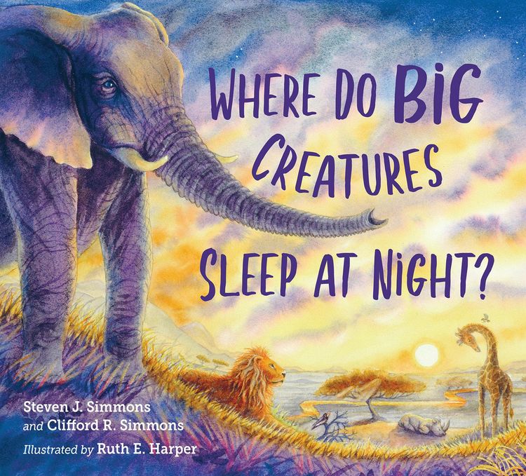 Produktbild: Where Do Big Creatures Sleep at Night?