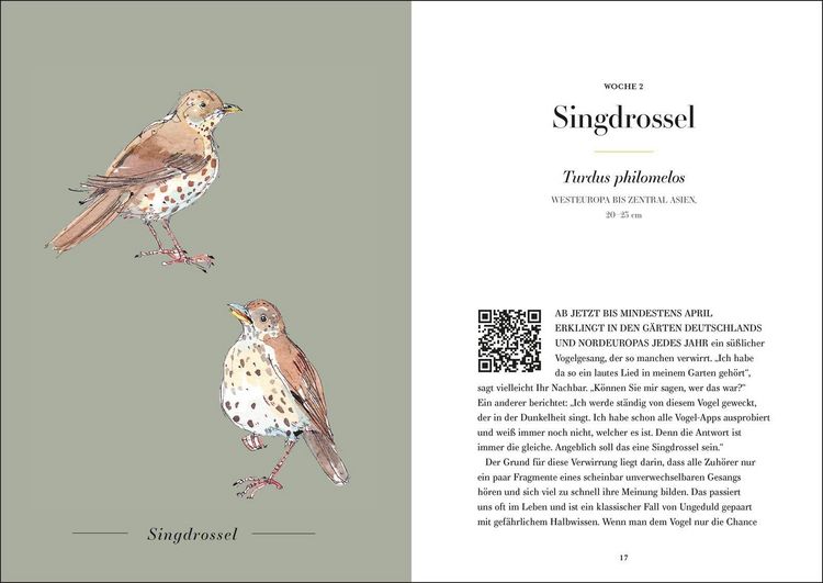 Produktbild: Der Gesang der V&ouml;gel