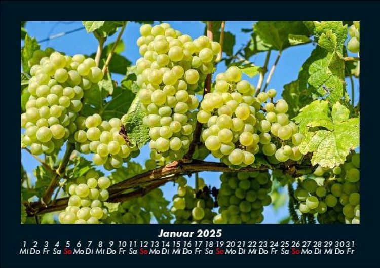 Produktbild: Obstkalender 2025 Fotokalender DIN A5