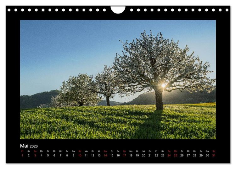 Produktbild: My Switzerland (Wandkalender 2026 DIN A4 quer), CALVENDO Monatskalender