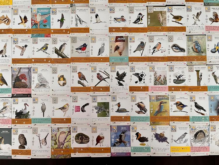 Produktbild: Stonemaier Games - Wingspan - Fan Art Pack (englische Version)