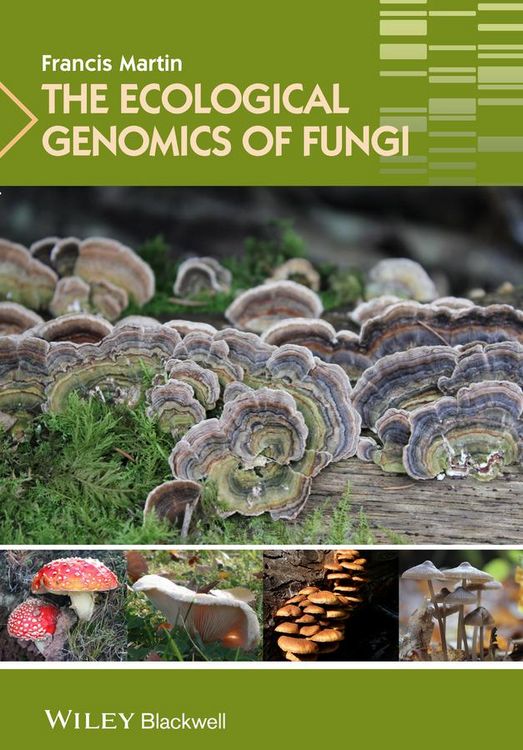 Produktbild: The Ecological Genomics of Fungi