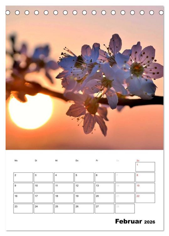 Produktbild: Zauberhafte Bl&uuml;tenwelt / Planer (Tischkalender 2026 DIN A5 hoch), CALVENDO Monatskalender