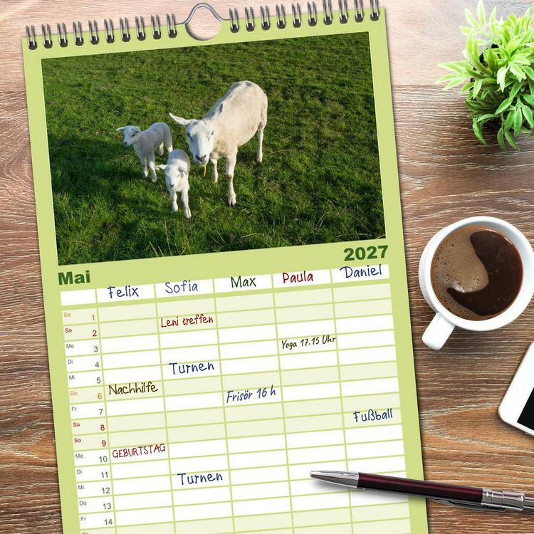 Produktbild: Familienplaner 2027 - Ameland Wundersch&ouml;ne Insel mit 5 Spalten (Wandkalender, 21 x 45 cm) CALVENDO