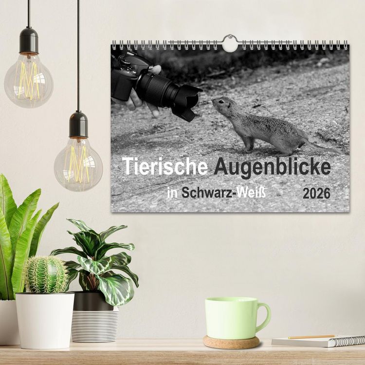 Produktbild: Tierische Augenblicke in Schwarz-Wei&szlig; (Wandkalender 2026 DIN A4 quer), CALVENDO Monatskalender