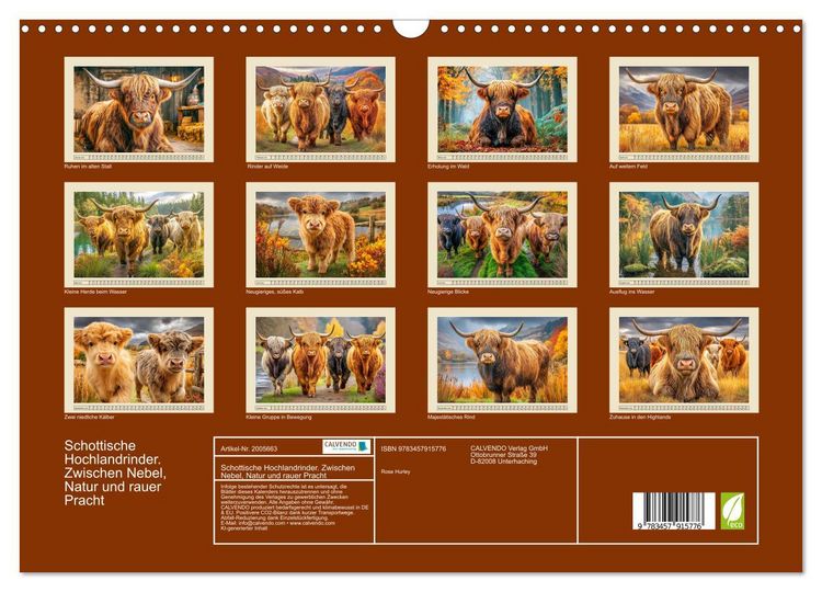 Produktbild: Schottische Hochlandrinder. Zwischen Nebel, Natur und rauer Pracht (Wandkalender 2026 DIN A3 quer), CALVENDO Monatskalender