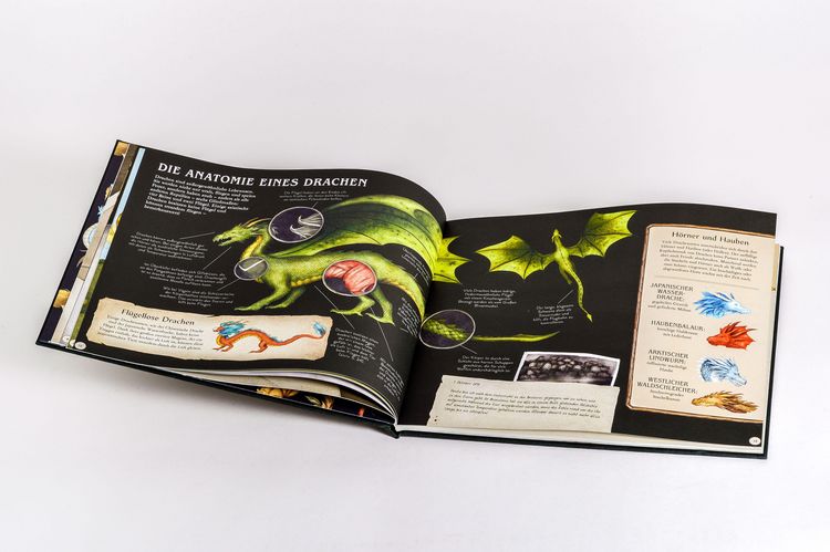 Produktbild: Das gro&szlig;e Handbuch der Drachen
