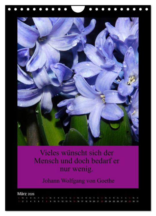 Produktbild: Lebensweisheiten mit Blumigen Gr&uuml;&szlig;en (Wandkalender 2026 DIN A4 hoch), CALVENDO Monatskalender