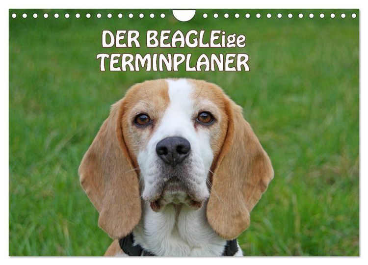 Produktbild: DER BEAGLEige TERMINPLANER (Wandkalender 2026 DIN A4 quer), CALVENDO Monatskalender