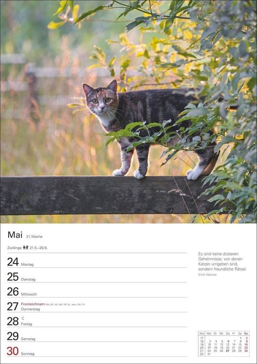 Produktbild: Katzen Wochenplaner 2027 - 53 faszinierende Fotografien