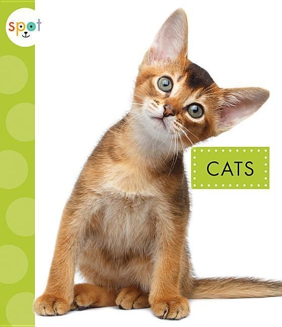 Produktbild: Cats