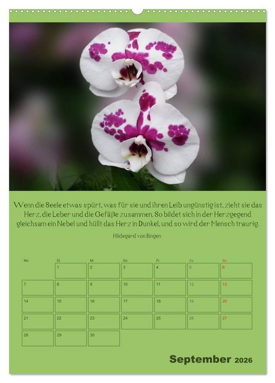 Produktbild: Erkenntnis und Weisheit - Hildegard von Bingen (hochwertiger Premium Wandkalender 2026 DIN A2 hoch), Kunstdruck in Hochglanz