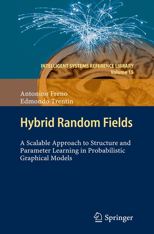 Produktbild: Hybrid Random Fields