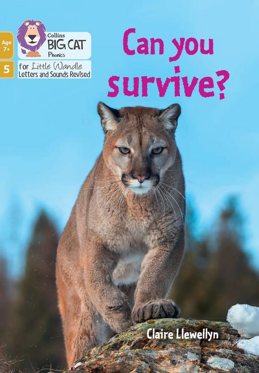 Produktbild: Can You Survive?