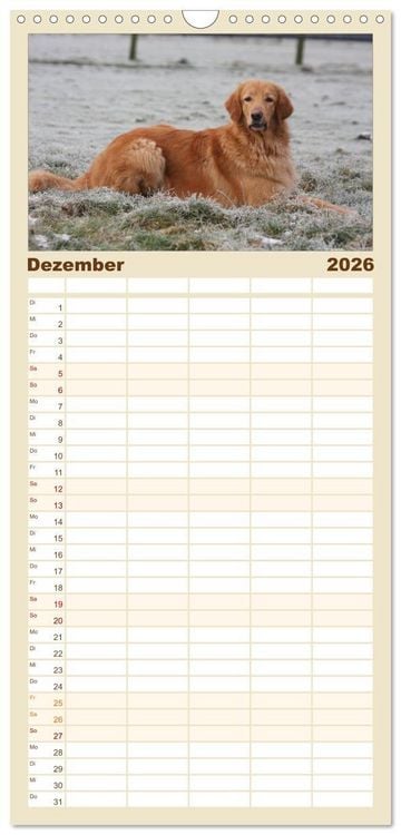 Produktbild: Familienplaner 2026 - Hovawart - nat&uuml;rlich blond mit 5 Spalten (Wandkalender, 21 x 45 cm) CALVENDO