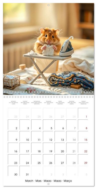Produktbild: Hamster housekeeping - little paws and big Jobs (Wall Calendar 2026 12 &times; 12 Inch) CALVENDO 12 Month Wall Calendar