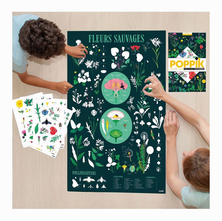 Produktbild: POPPIK - Lernposter & Sticker Botanik