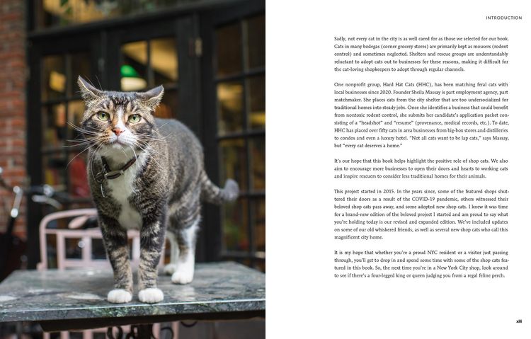 Produktbild: Shop Cats of New York (Revised and Expanded)