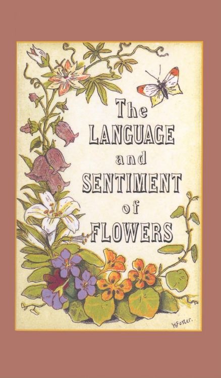 Produktbild: The Language and Sentiment of Flowers