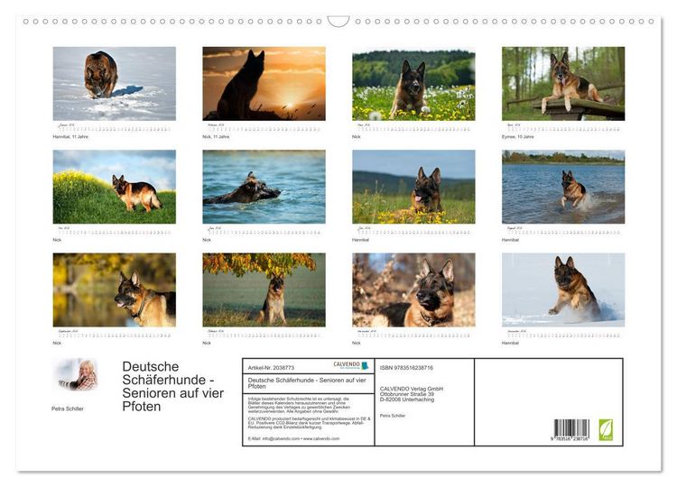 Produktbild: Deutsche Sch&auml;ferhunde - Senioren auf vier Pfoten (Wandkalender 2026 DIN A2 quer), CALVENDO Monatskalender