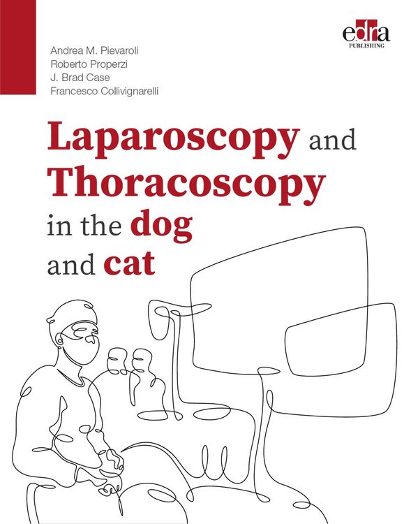 Produktbild: Laparoscopy and Thoracoscopy in the dog and cat