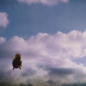 Produktbild: Stung!