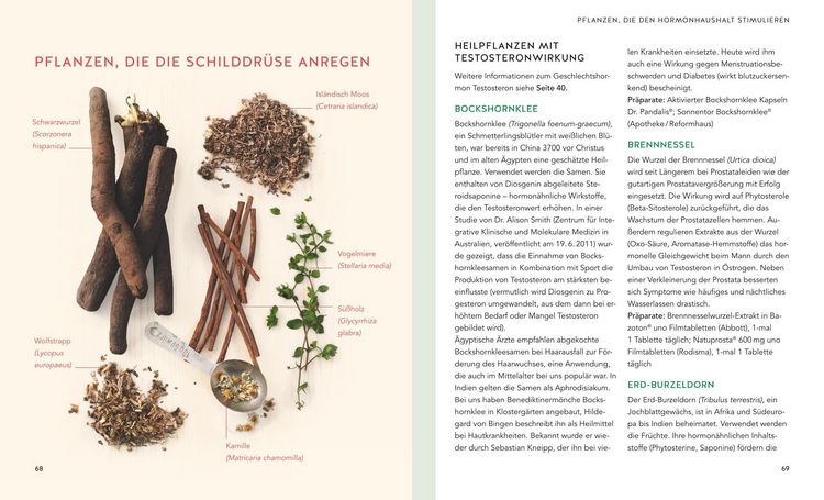 Produktbild: Hormone nat&uuml;rlich regulieren