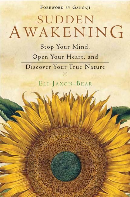Produktbild: Sudden Awakening
