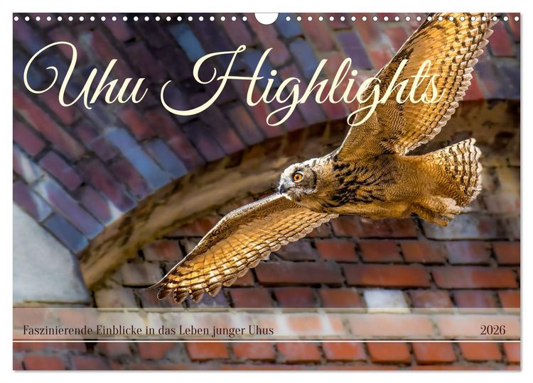 Produktbild: Uhu Highlights (Wandkalender 2026 DIN A3 quer), CALVENDO Monatskalender
