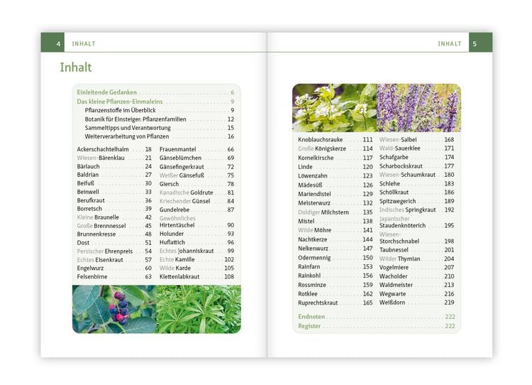 Produktbild: Essbare Heilkr&auml;uter und Wildpflanzen. Kompakt-Ratgeber