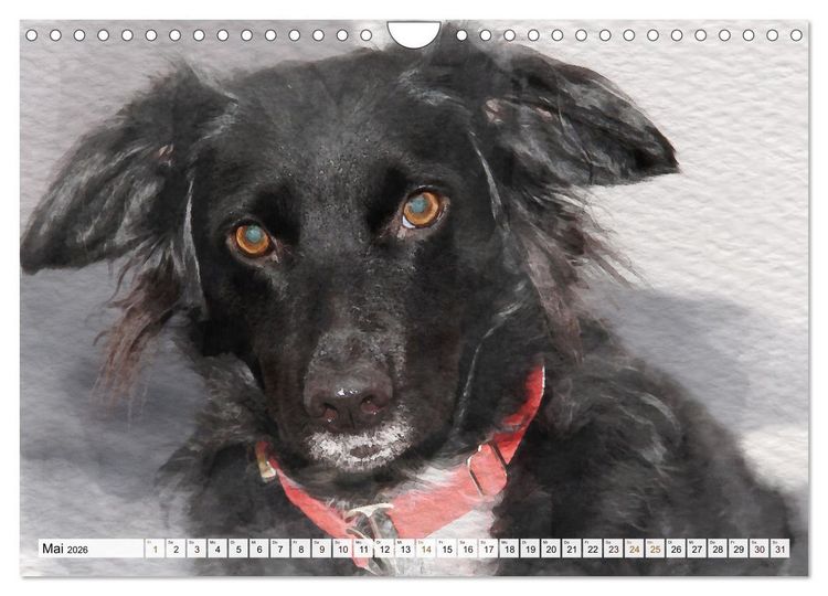 Produktbild: Niedliche Hunde - Digitale Aquarelle (Wandkalender 2026 DIN A4 quer), CALVENDO Monatskalender