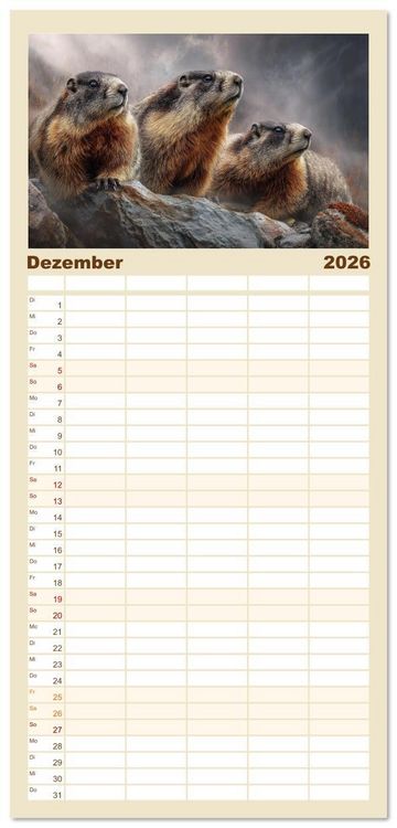 Produktbild: Familienplaner 2026 - Alpenpl&uuml;sch - Mit Murmeltieren durchs Jahr mit 5 Spalten (Wandkalender, 21 x 45 cm) CALVENDO