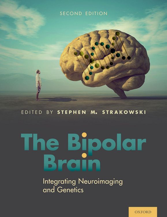 Produktbild: The Bipolar Brain