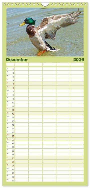 Produktbild: Familienplaner 2026 - Duck Power mit 5 Spalten (Wandkalender, 21 x 45 cm) CALVENDO