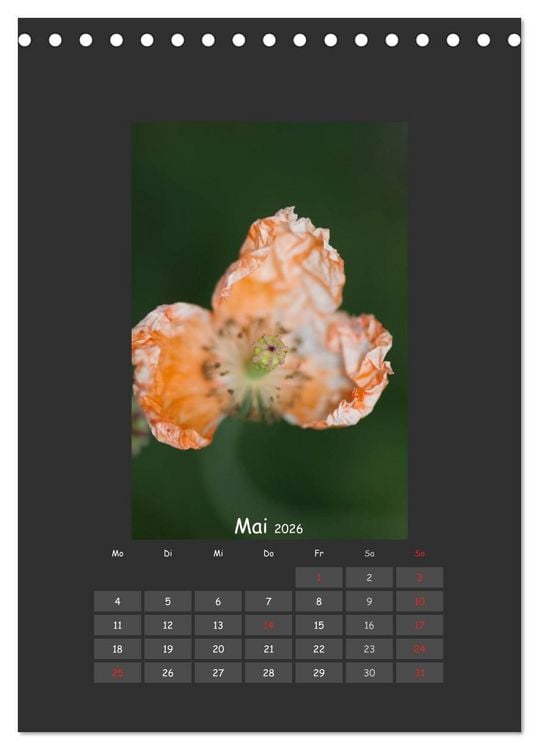 Produktbild: Mohn (Tischkalender 2026 DIN A5 hoch), CALVENDO Monatskalender