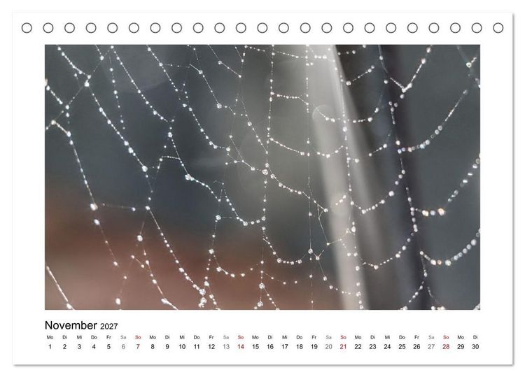 Produktbild: Naturkunstwerke (Tischkalender 2027 DIN A5 quer), CALVENDO Monatskalender